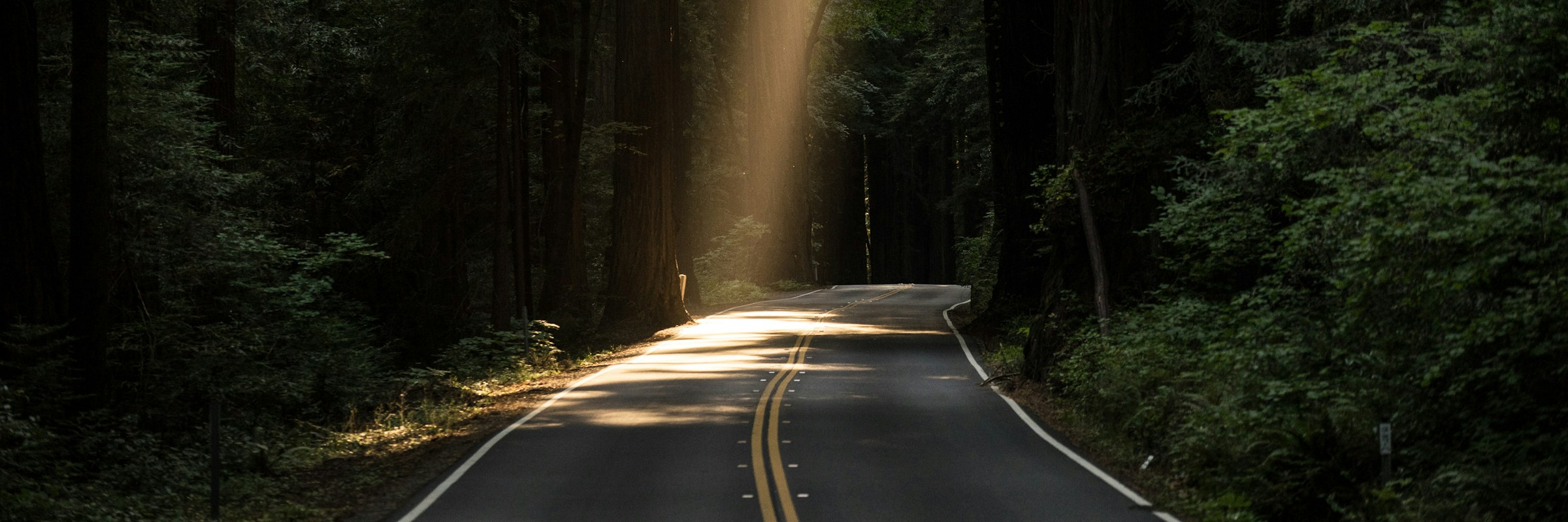 Waldstrasse mit einfallendem Licht