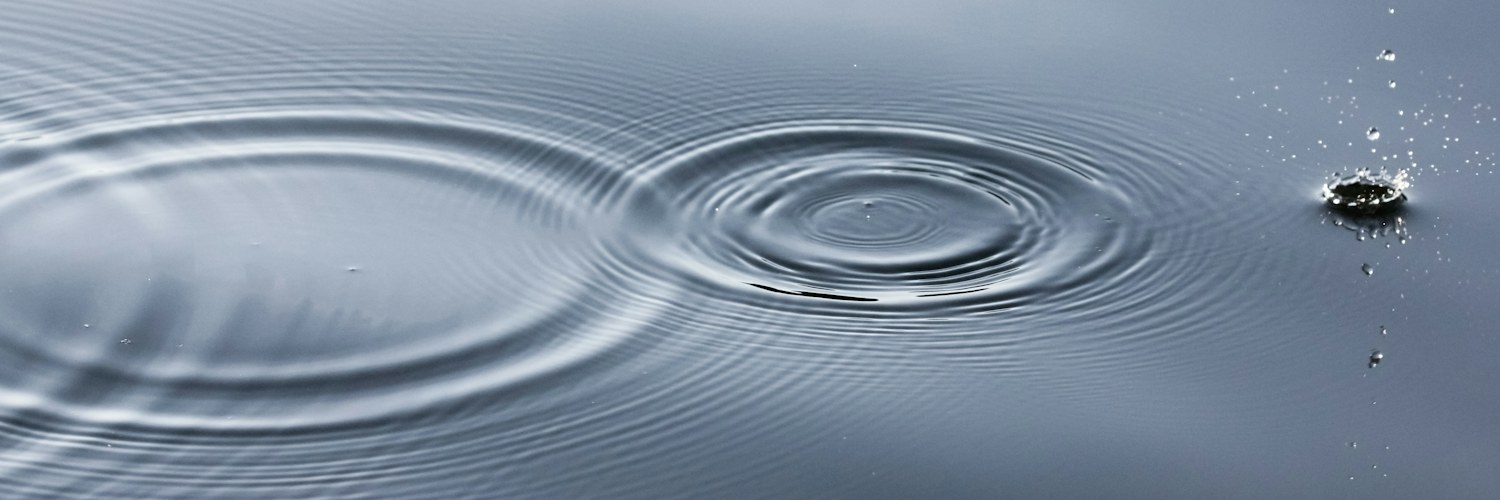 Konzentrische Ringe auf einer Wasserfläche nach einem Tropfen